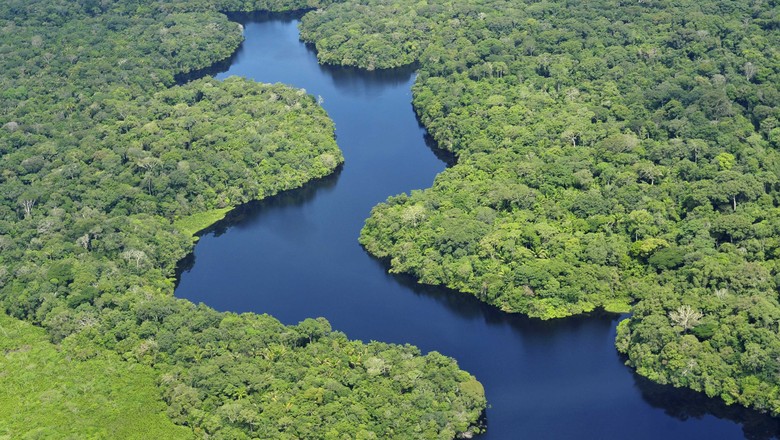 O Rio Amazonas é o maior em volume de água do mundo (Foto: Neil Palmer)
