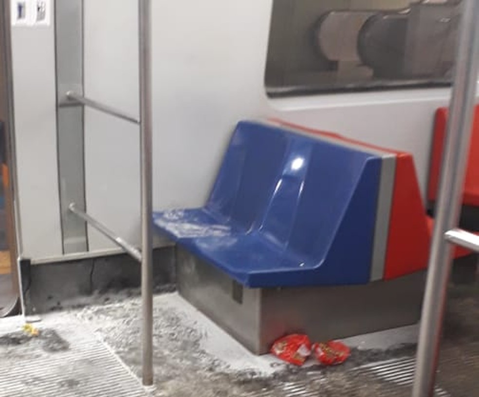 Danos causados por foliões em trens do metrô no DF — Foto: Reprodução