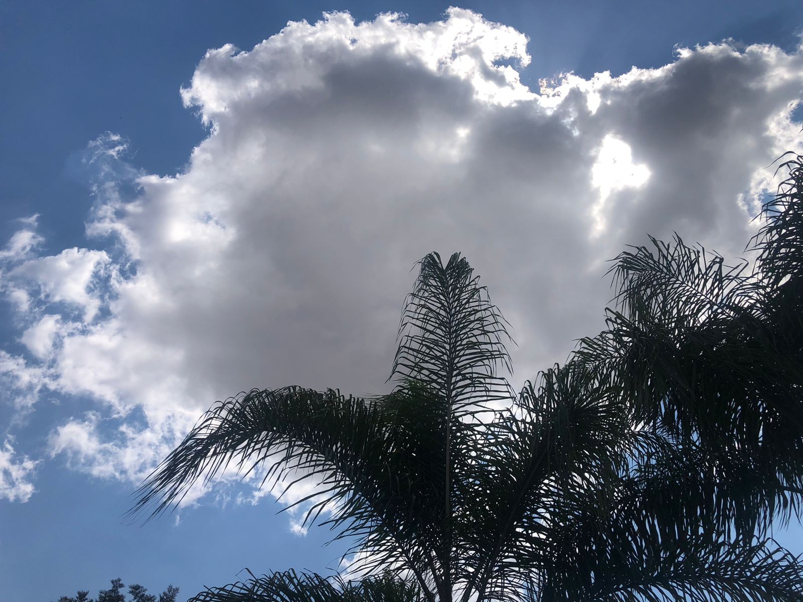 Sol deve predominar durante a semana; veja a previsão do tempo em Divinópolis e região