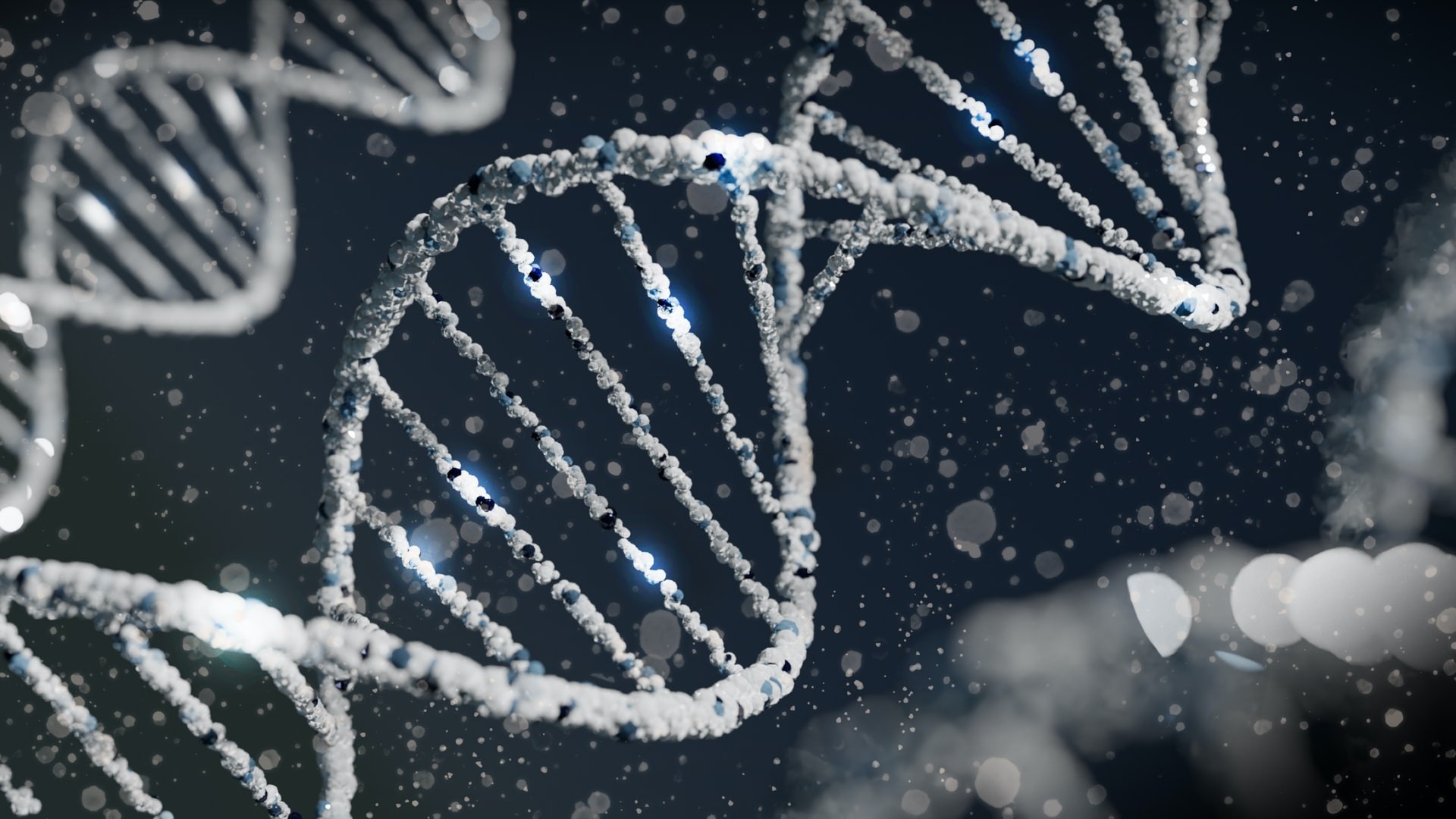 Uma pequena mudança em nosso DNA nos deixou mais propensos ao câncer, segundo estudo (Foto: Sangharsh Lohakare/Unsplash )