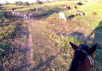 Na Fazenda Paraíso, o leitor Mateus Costa Nacif aproveita a calma do ambiente rural (Foto: Arquivo pessoal/Ed. Globo)