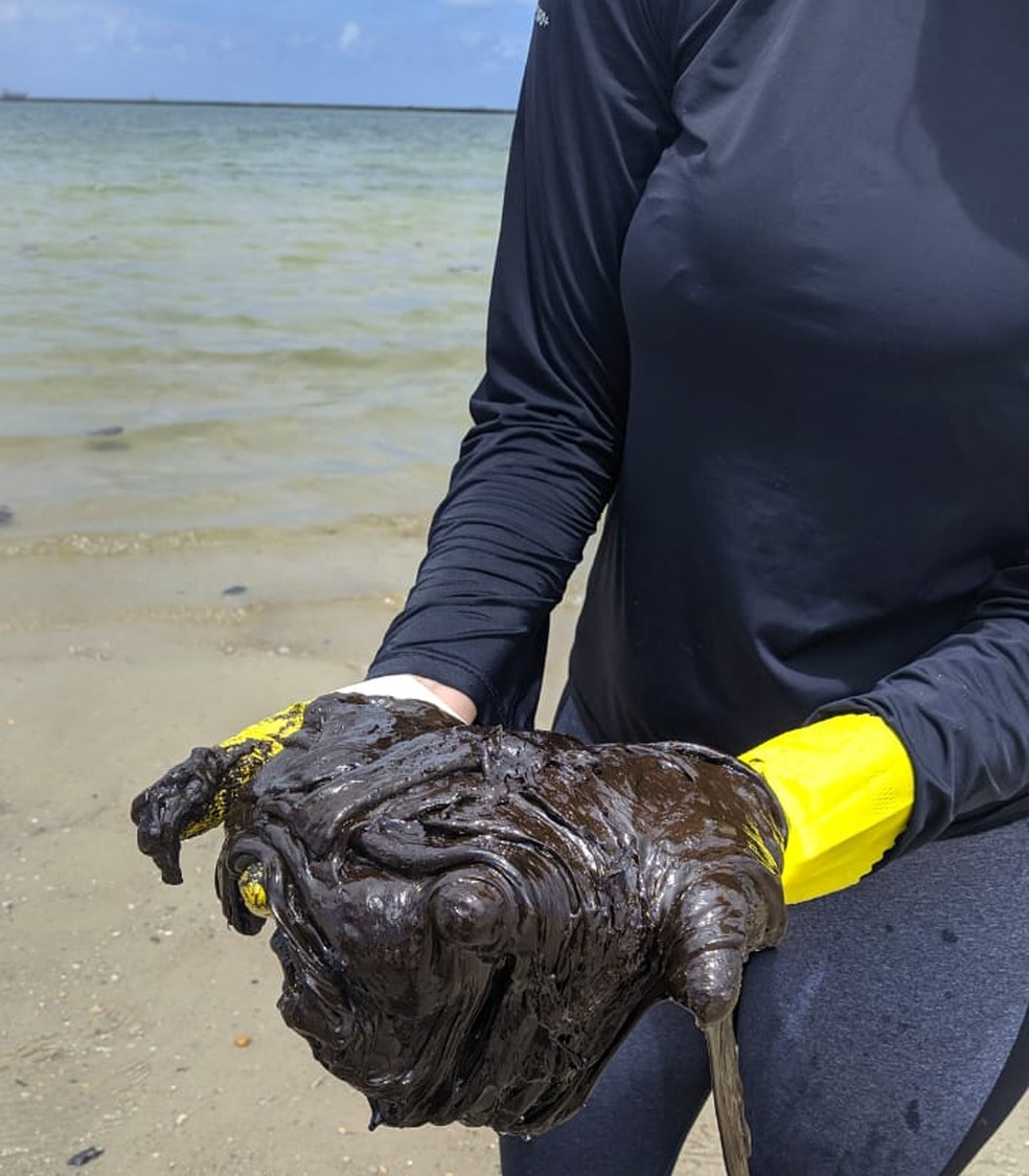 Voluntários retiram óleo da Ilha de Tatuoca, no Cabo de Santo Agostinho, neste domingo (20) — Foto: Salve Maracaípe/Reprodução/Whatsapp