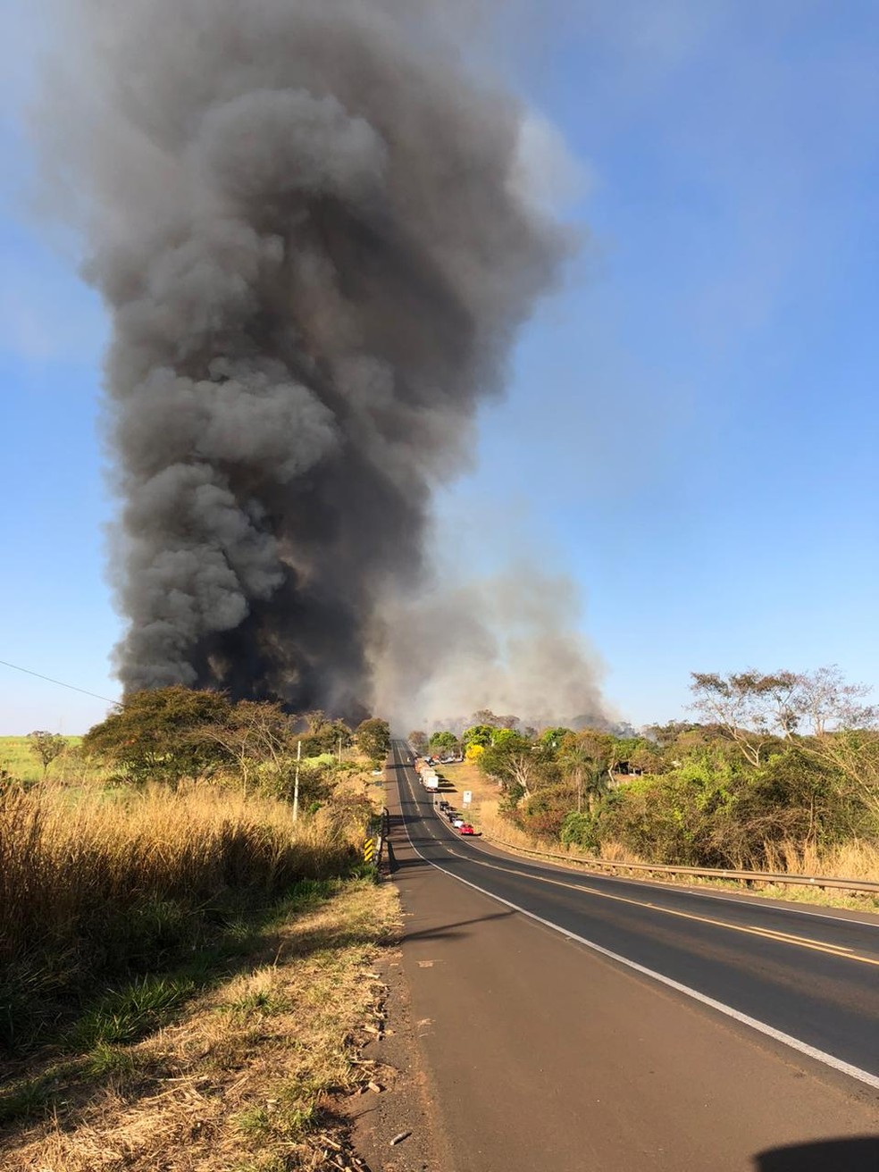 Queimada em mata provoca fumaça e interdita trânsito em rodovia de Olímpia (SP) — Foto: Gridânia Brait/TV TEM