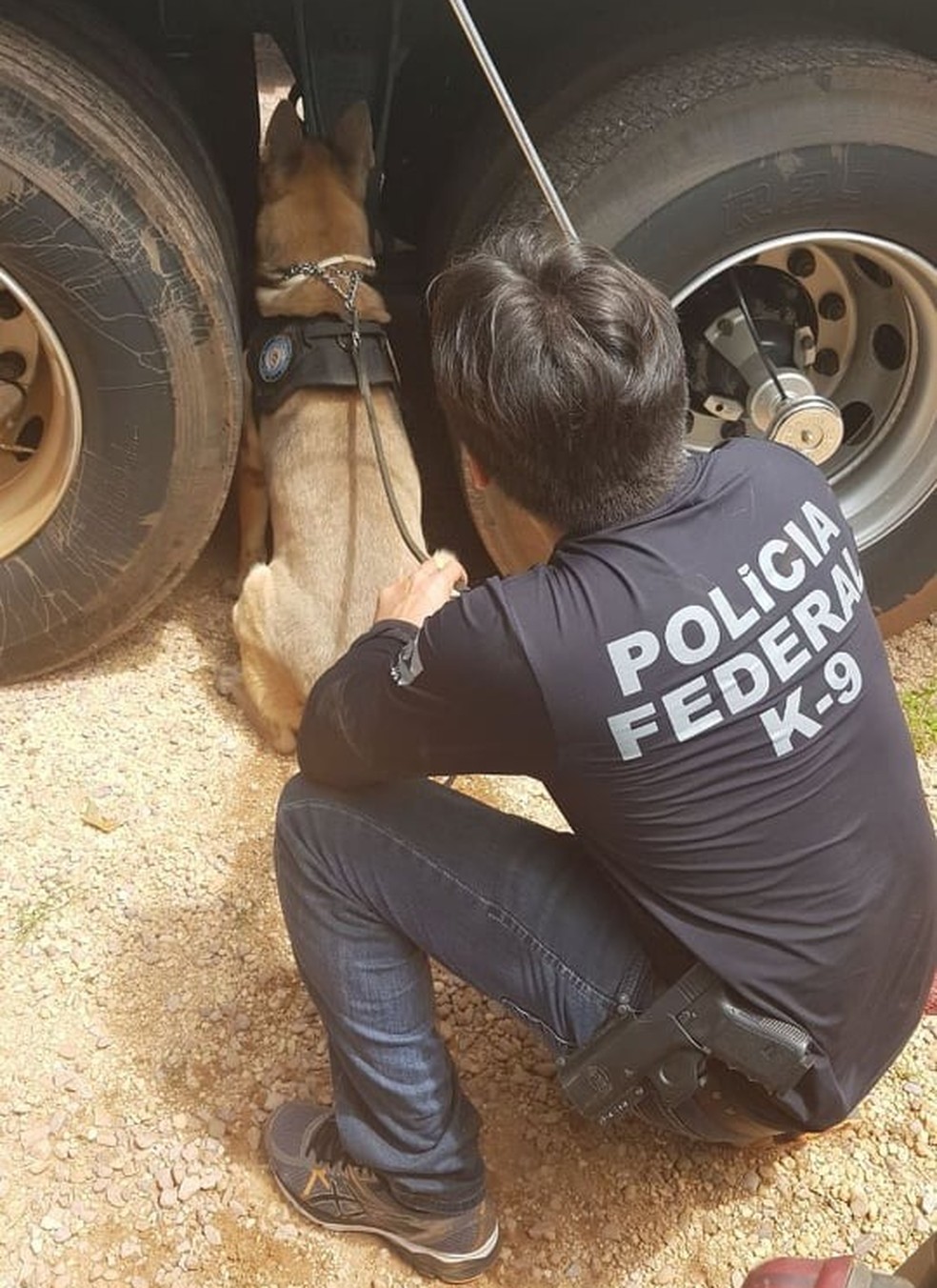 Mais de 4 toneladas de drogas foram apreendidas durante trabalho do Tomi na PF — Foto: Polícia Federal