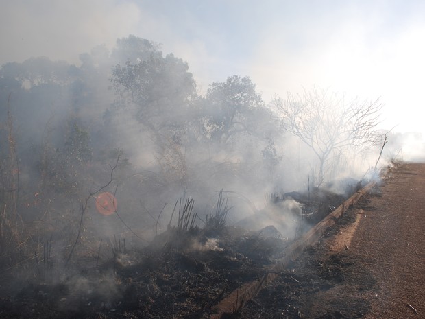 Altas temperaturas, baixa umidade e queimadas comprometem o tempo no Tocantins (Foto: Marcel de Paula/TV Anhanguera TO)