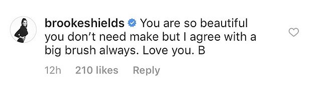 O comentário da atriz e modelo Brooke Shields no post de Selma Blair (Foto: Instagram)