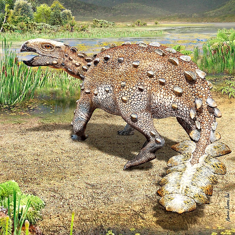 Cientistas descobrem dinossauro gigante com cauda de coração - Revista  Galileu