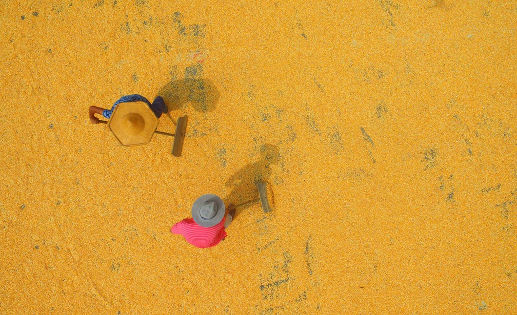 Imagens Da Semana De 25 A 31 De Agosto De 2018 Mundo G1