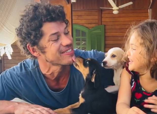 José Loreto com os cachorros que adotou ao lado da filha, Bella (Foto: Instagram/@joseloreto/Reprodução)