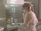 Campinas tem 122 casos suspeitos de zika, afirma Vigilância Epidemiológica