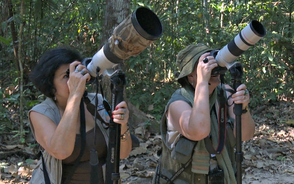 Observadores de pássaros durante encontro no Parque Zoobotânico da Ufac — Foto: Reprodução/Rede Amazônica Acre