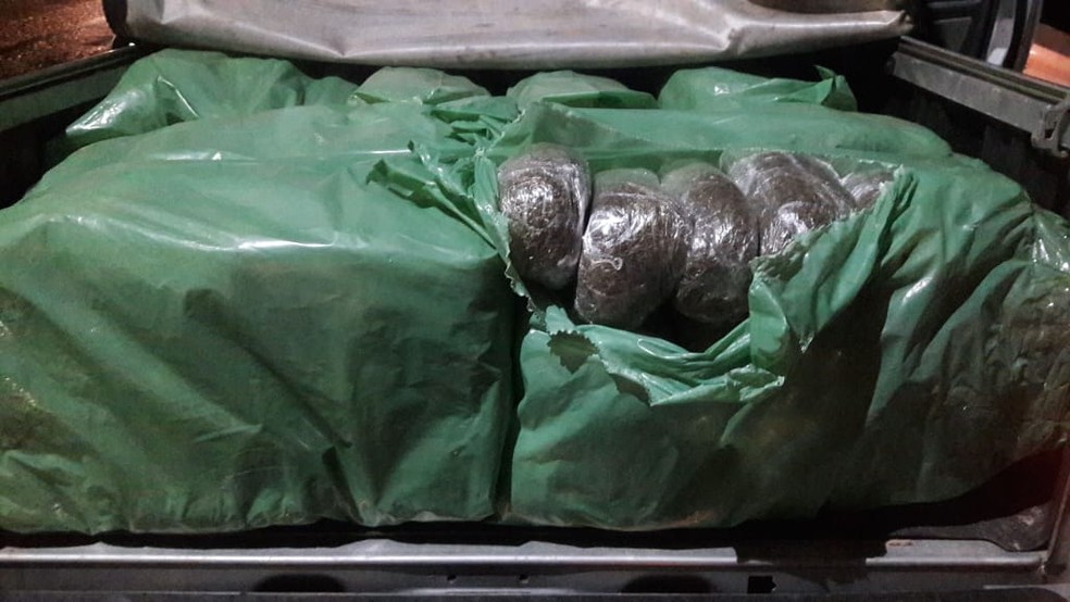 Cerca de 200 kg de maconha foram encontrados em caminhonete, em GravatÃ¡ â Foto: PM/DivulgaÃ§Ã£o