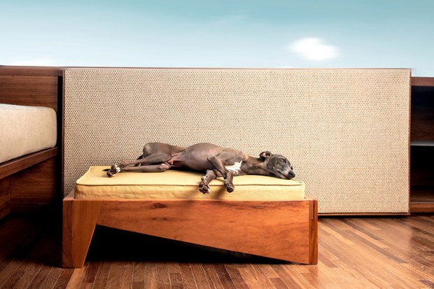 Designers brasileiros criam mobiliário sustentável para pets (Foto: Divulgação)