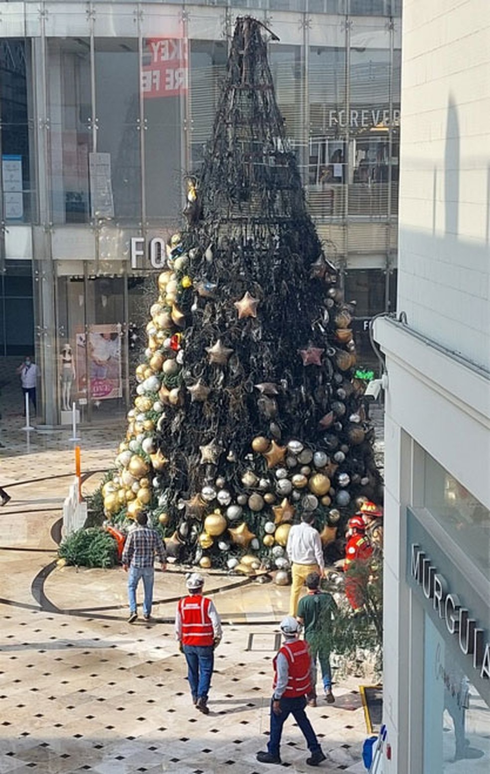 Incêndio de árvore de Natal provoca enorme coluna de fumaça em shopping no  Peru; veja vídeo | Mundo | G1