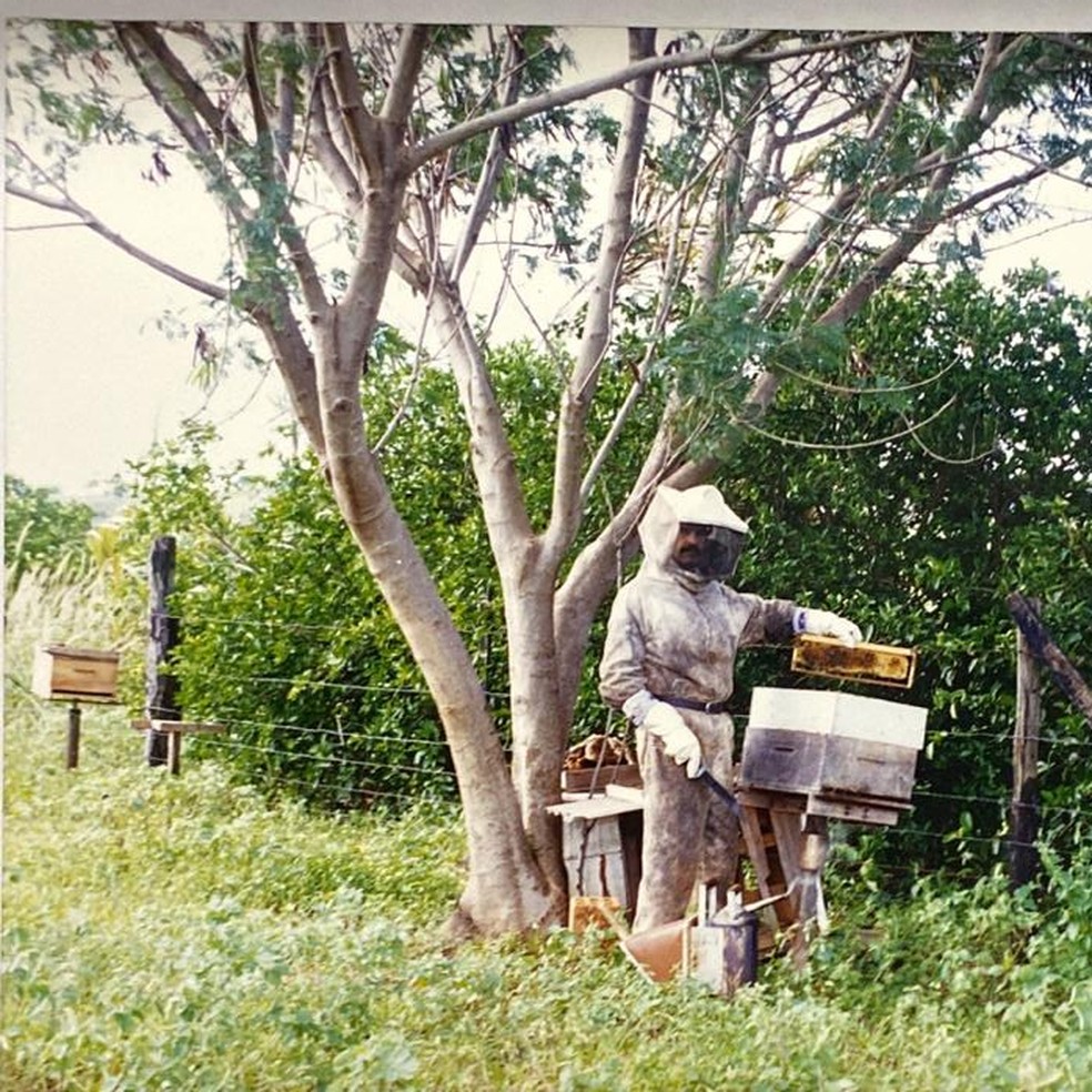 Apicultores registram aumento na produção de mel na pandemia — Foto: Cedida/Marcos Ferreira