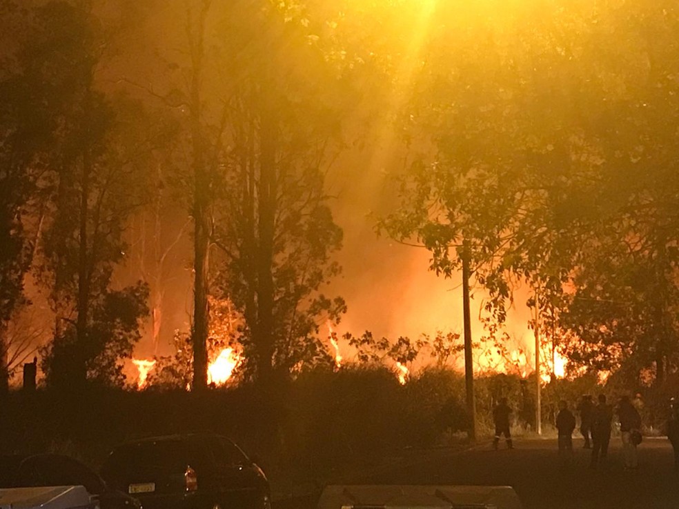Incêndio de grandes proporções atinge mata em Lençóis Paulista (SP) — Foto: Arquivo pessoal/Sigmar José Garaveli