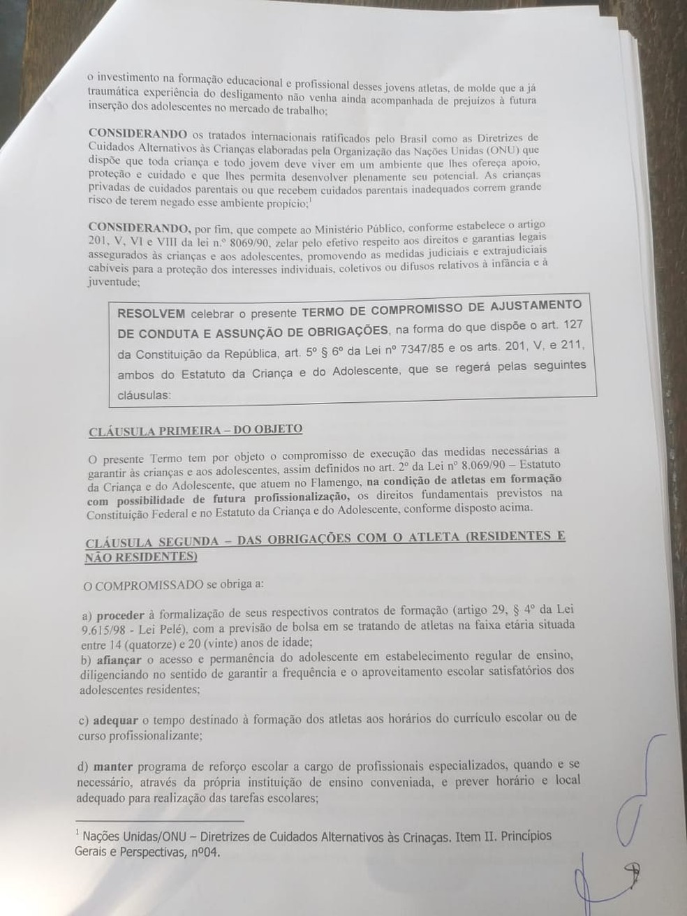 TAC Flamengo Ninho &mdash; Foto: Reprodu&ccedil;&atilde;o