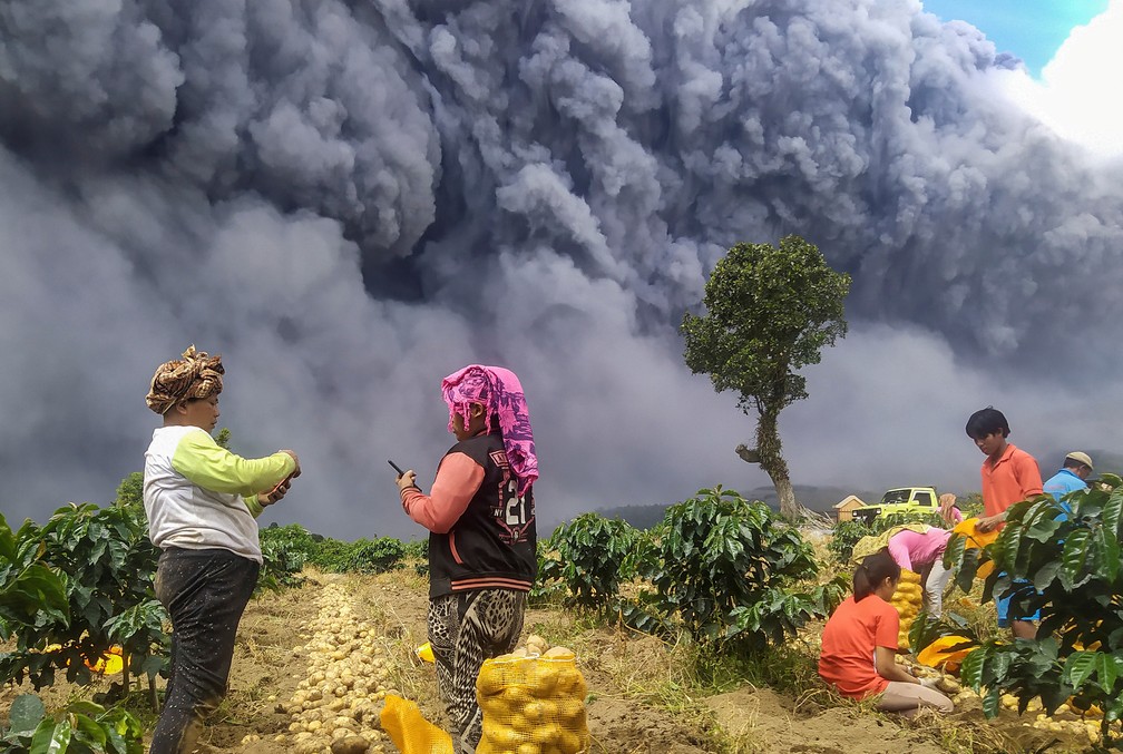10 de agosto - Moradores locais colhem batatas enquanto o Monte Sinabung expele cinzas vulcânicas em Karo, província de Sumatra do Norte, na Indonésia — Foto: Sastrawan Ginting/Antara Foto via Reuters