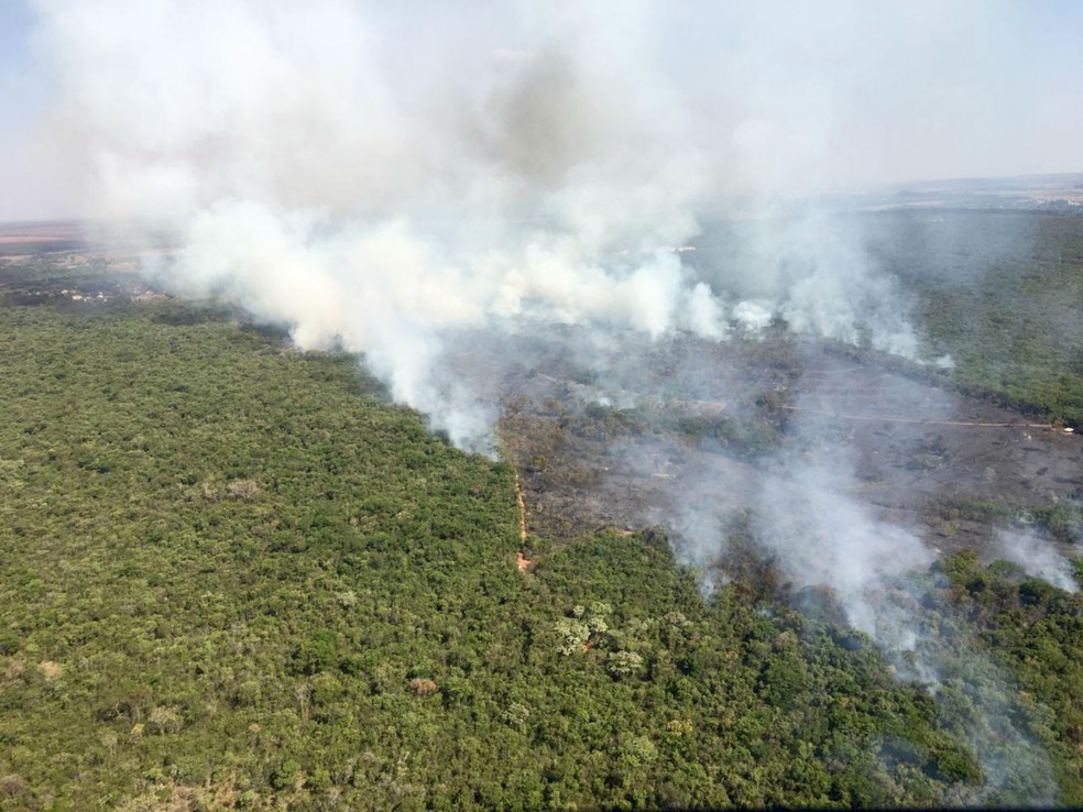 Helicóptero Águia da PM sobrevoou a área atingida pelo fogo, que atingiu cerca de 30% do parque — Foto: Polícia Militar/Divulgação