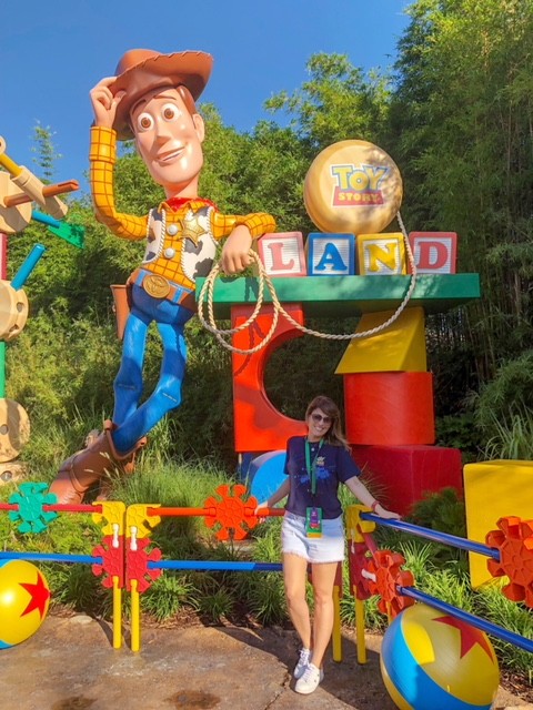 Entrada de Toy Story Land