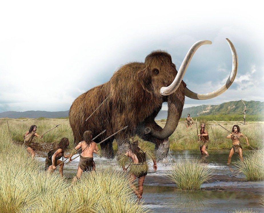 Pesquisadores descobrem traços evolutivos inusitados do mamute-lanoso