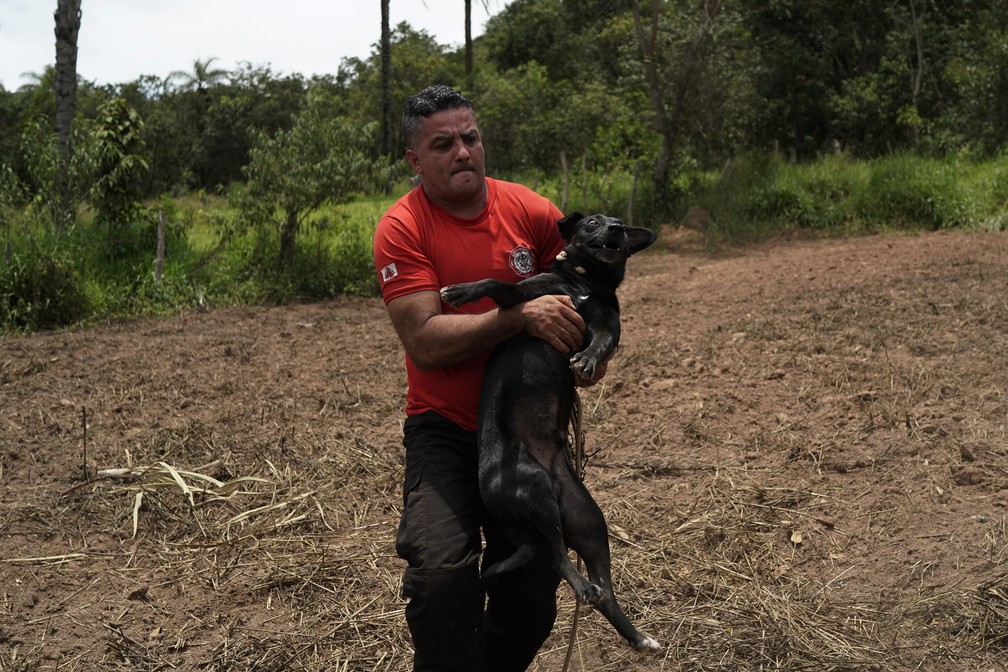 Bombeiro civil Leoncio Valverdes resgata um cachorro encontrado amarrado a uma casa, dois dias depois do rompimento da barragem da Vale em Brumadinho. â Foto: Leo Correa/AP