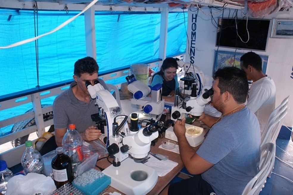 Pesquisadores realizaram análises em laboratório montado em embarcação — Foto: Ufopa/Divulgação