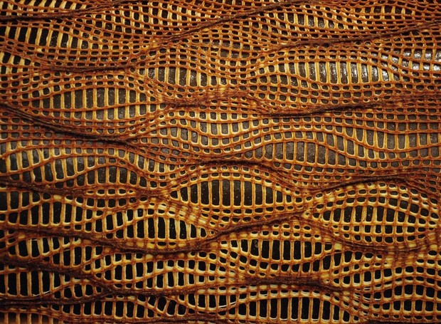A arquiteta israelense Neri Oxman usa biocompostos e materiais da natureza, como a pectina da casca da maçã, os corais e a seda do bicho da seda, para criar uma matéria-prima biodegradável e não poluente (Foto: Reprodução / oxman.com)