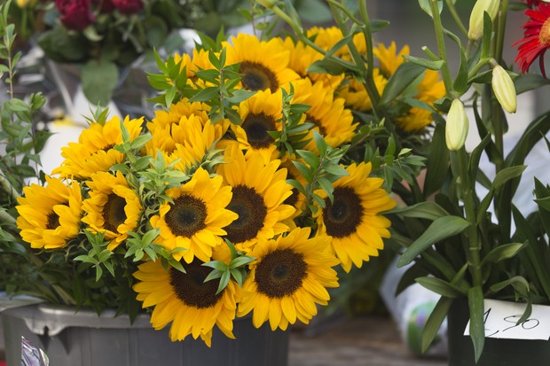 Sunflowers in vase (Foto: Getty Images)