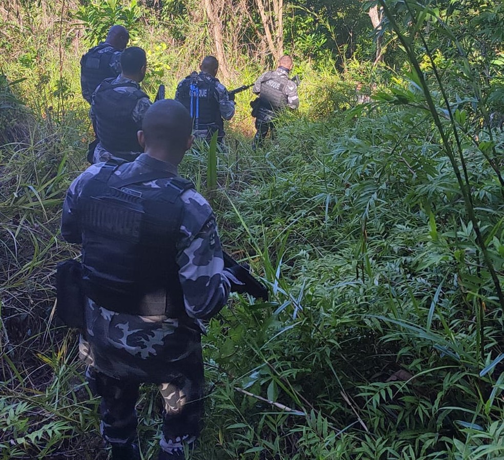 Opera&ccedil;&atilde;o da PM apreende fuzil e drogas enterrados em &aacute;rea de mata &mdash; Foto: Divulga&ccedil;&atilde;o/PM