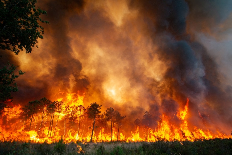 Árvores queimam durante incêndio florestal em Landiras, na região de Gironda, na França.  — Foto: Brigada de bombeiros de Gironda/Divulgação/Reuters