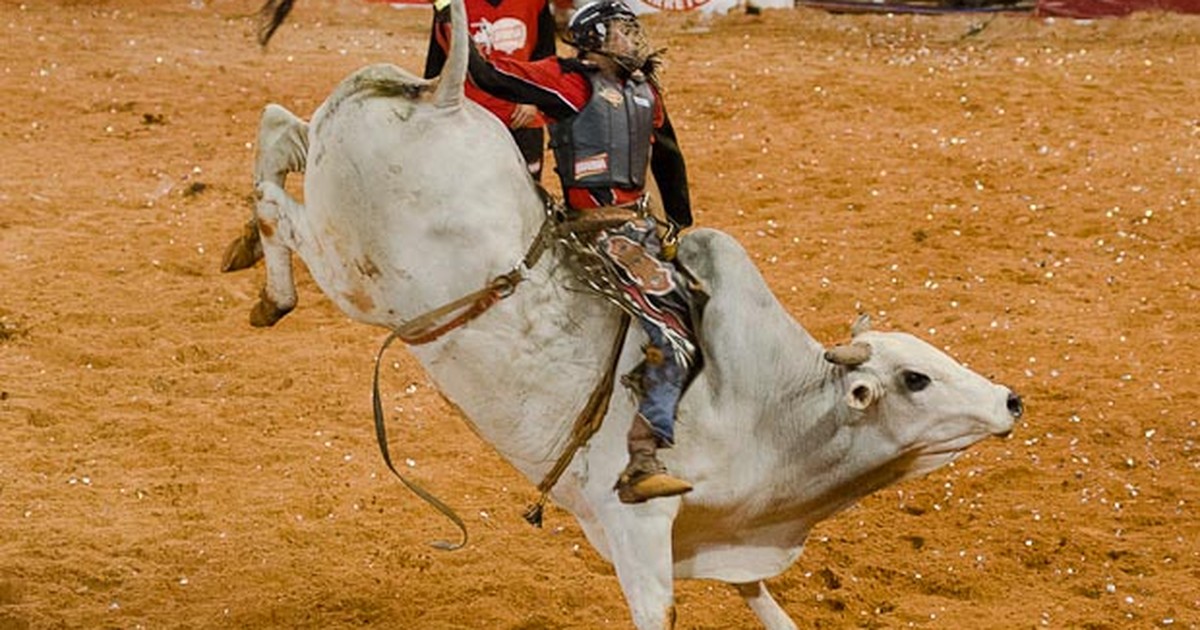 Rodeio de Leme - Aoooo galera de peão!!!!!!!🤠 Mais uma boiada confirmada  para vocês, o que era bom vai ficar ainda melhor!! @ciaderodeiofortaleza 💥