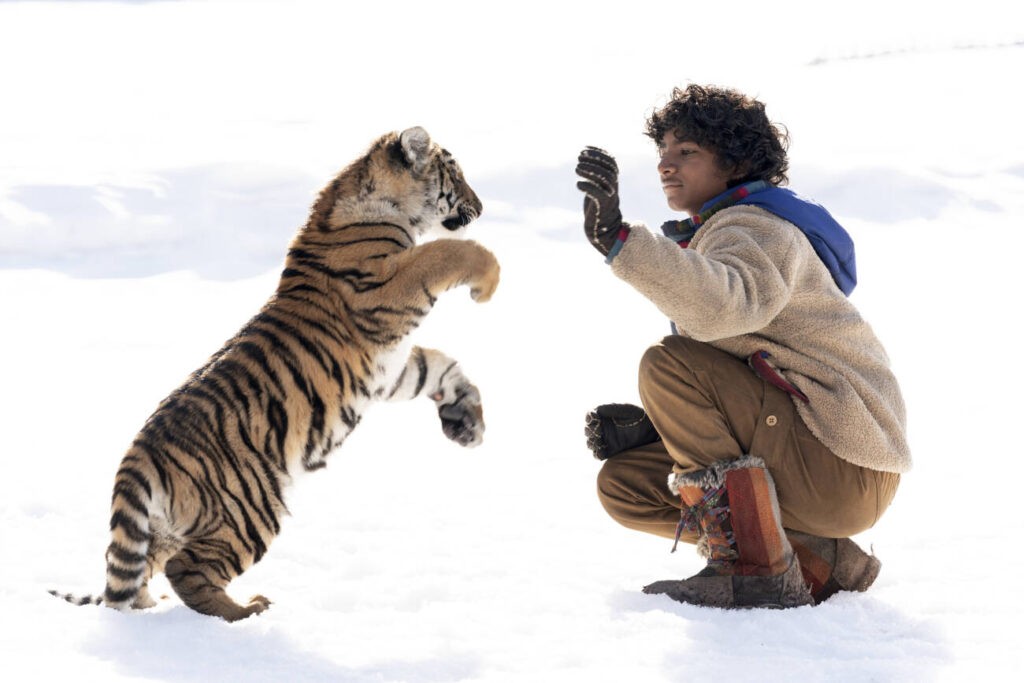 Filme ‘O menino e o tigre’ — Foto: divulgação