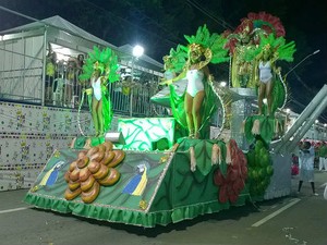 Carro alegórico Mocidade Progresso carnaval 2015 Juiz de Fora 2 (Foto: Roberta Oliveira/ G1)