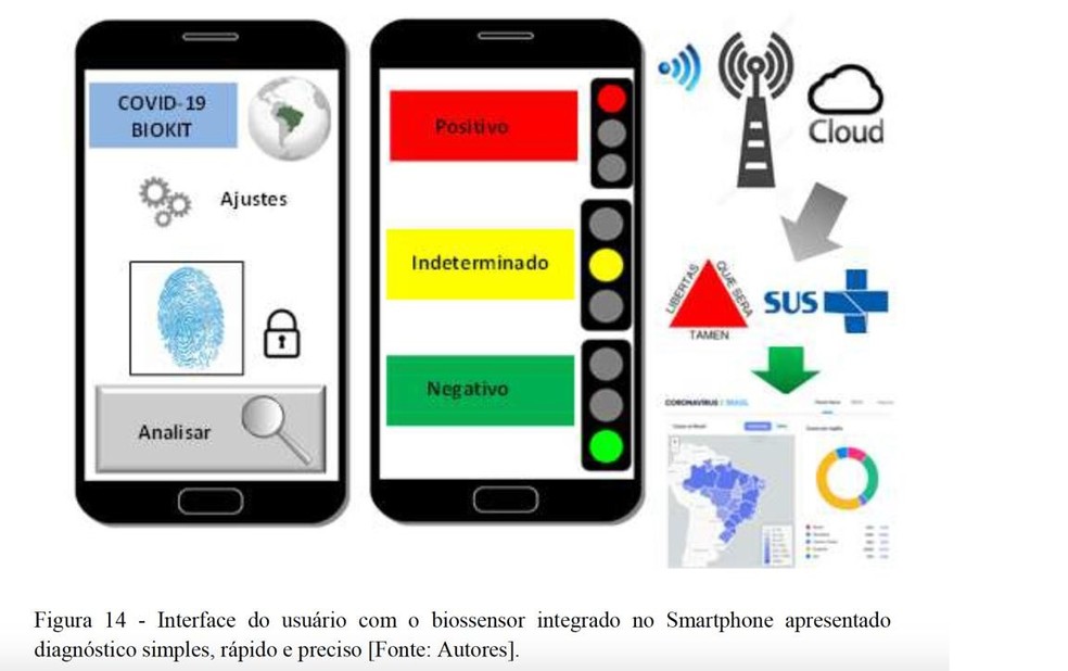 UFMG cria programa para testagem em massa de Covid-19 usando o celular. — Foto: Divulgação/UFMG