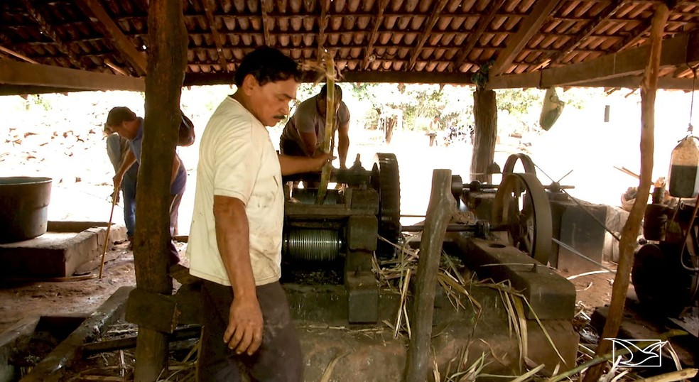 Sucupira do Norte possui atualmente mais de 80 pontos de fabricação de cachaça (Foto: Reprodução/TV Mirante)