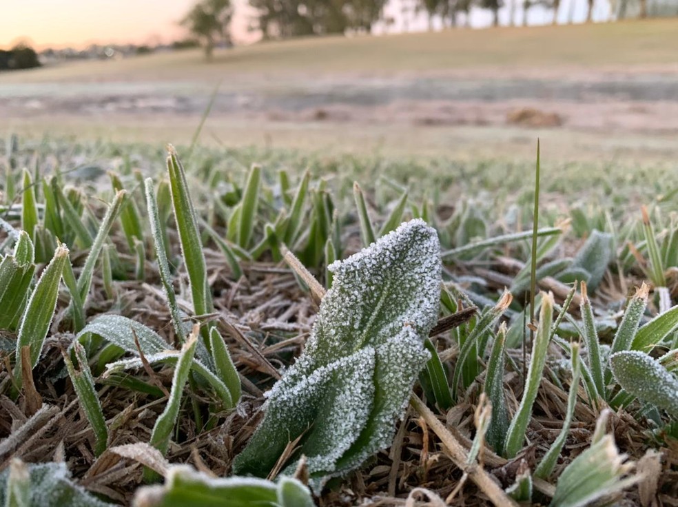 Semana Comeca Com Temperatura Abaixo De 5Âºc Em Cidade Do Sul Do Parana Parana G1