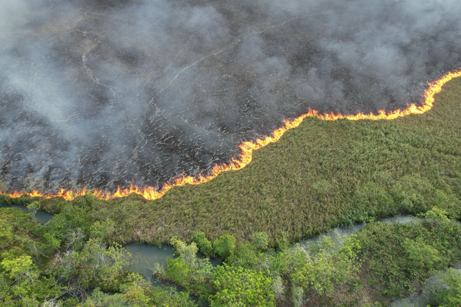 Há 4 dias em chamas, fogo já destruiu 500 hectares de vegetação em área ao lado de rio cristalino em Bonito