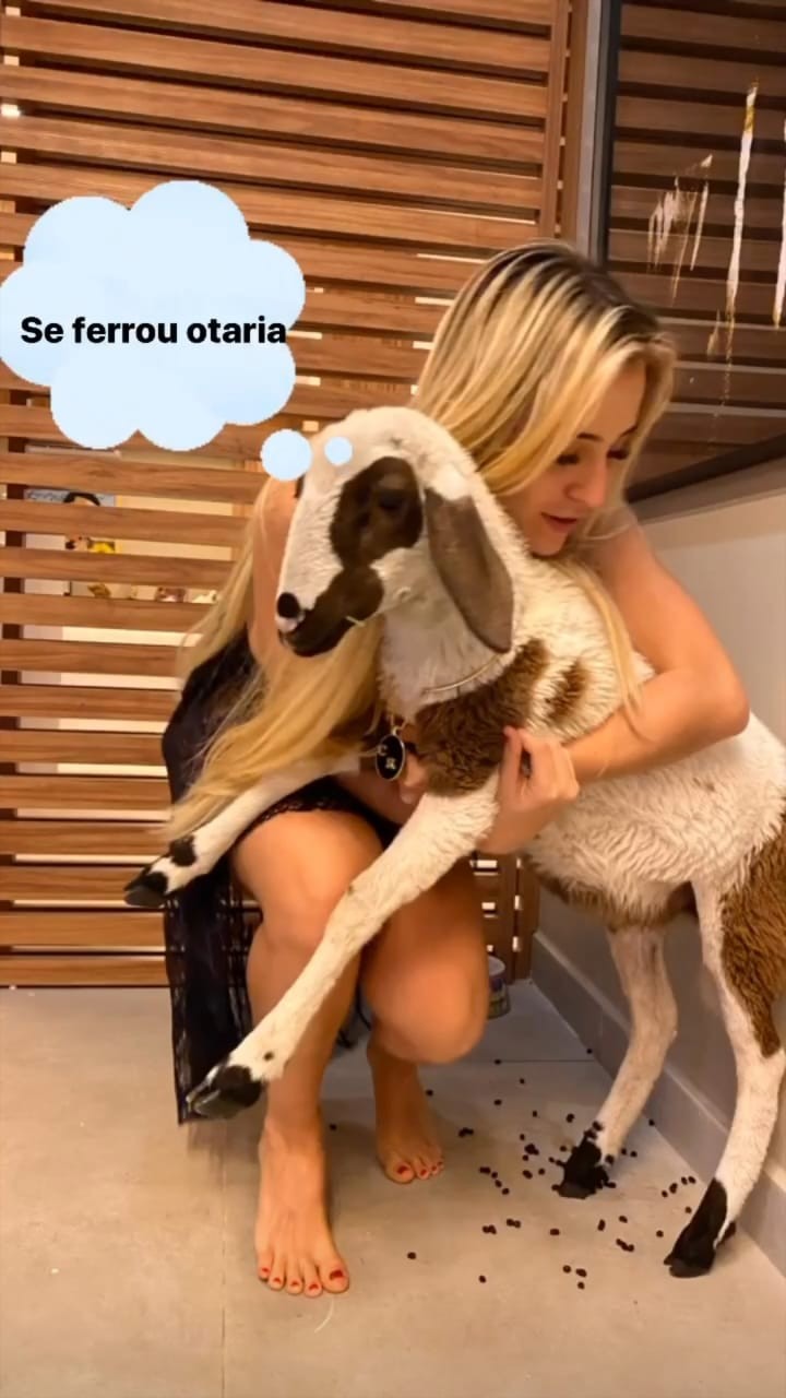 Gabi Martins e Célia, a cabra (Foto: Reprodução/Instagram)