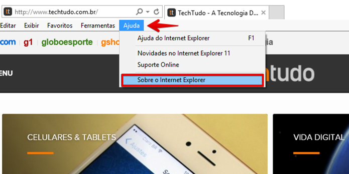 Clique em Sobre o Internet Explorer (Foto: Felipe Alencar/TechTudo)