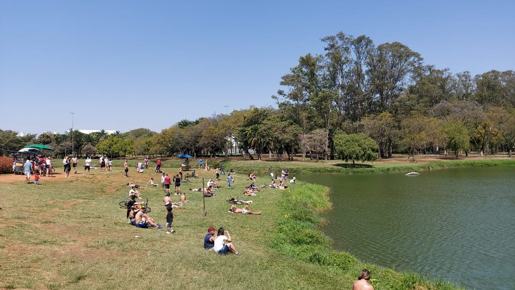 Com o Parque do Ibirapuera fechado no fim de semana para evitar aglomerações, paulistanos aproveitam o som na área externa do lago do parque em São Paulo. — Foto: Rodrigo Rodrigues/G1