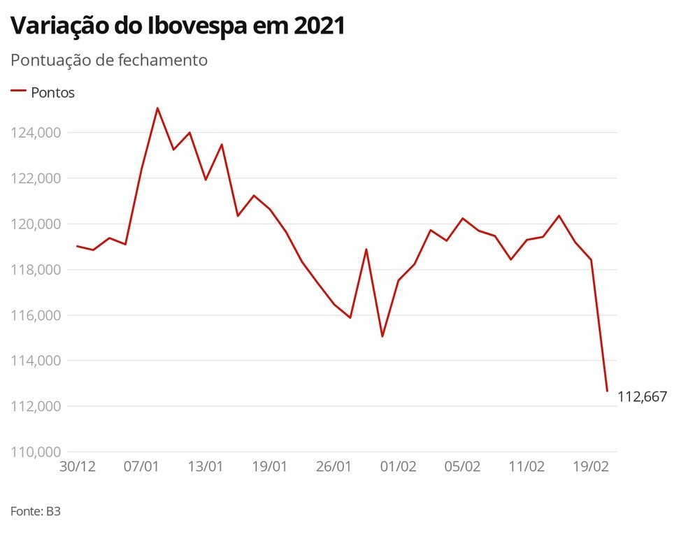 Variação do Ibovespa em 2020 — Foto: G1 Economia