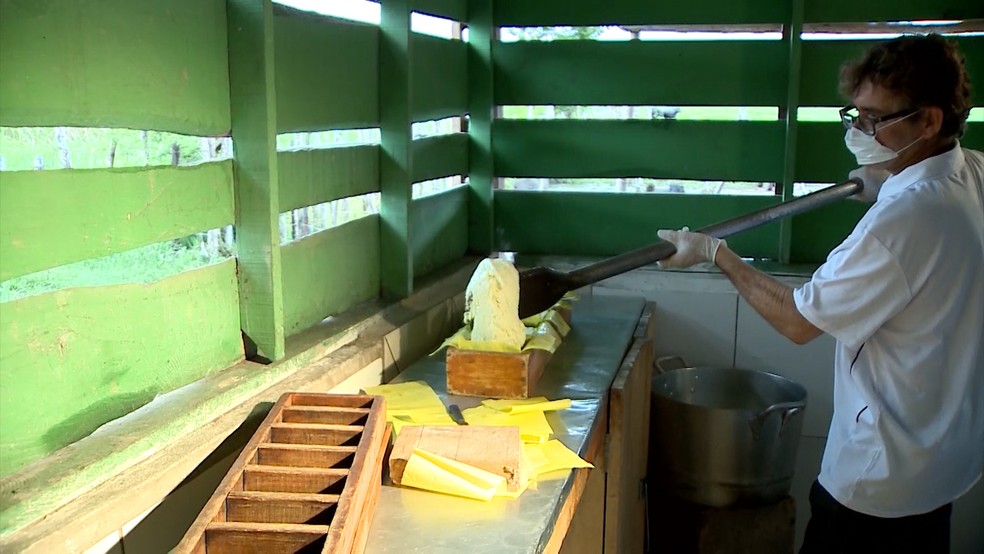 Fabricação do queijo manteiga de São Bento é realizada por famílias rurais da região. (Foto: Reprodução/TV Mirante)