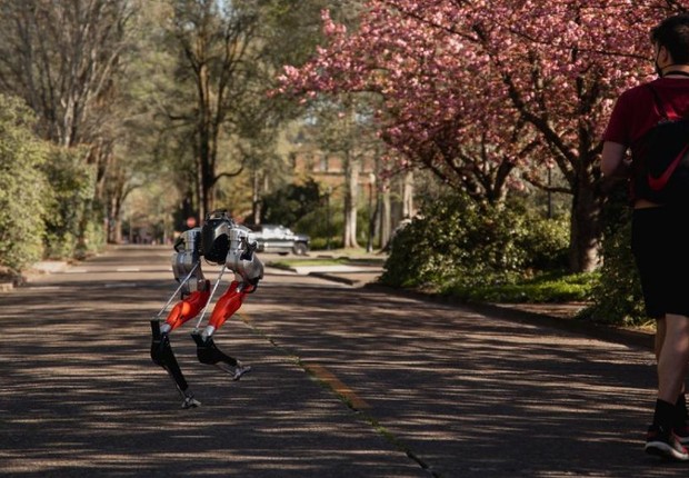 Cassie, o robô desenvolvido na Universidade do Oregon (Foto: Reprodução/Universidade do Oregon)