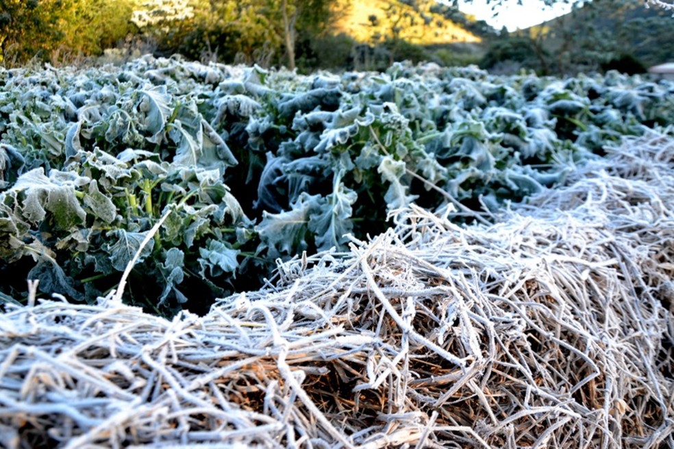 Maria da Fé (MG) enfrentou baixas temperaturas na semana passada — Foto: Luciano Lopes