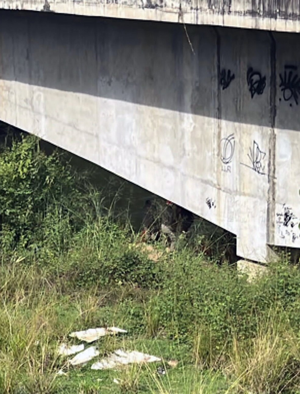 Buscas pelo perito Renato Couto de Mendonça em Japeri — Foto: Reprodução
