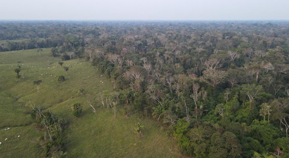 Fazenda Ipanema, em Bujari, no Acre: trabalho de monitoramento é feito com drone