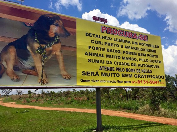 Outdoor de 9m × 3m na Estrutural, em Brasília, mostra foto de cachorro e apelo para encontrá-lo (Foto: Jéssica Nascimento/G1)