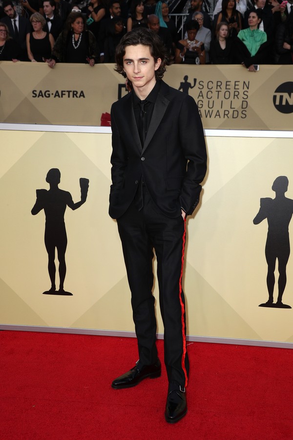 LOS ANGELES, CA - JANUARY 21: Actor Timothee Chalamet attends the 24th Annual Screen Actors Guild Awards at The Shrine Auditorium on January 21, 2018 in Los Angeles, California. 27522_017  (Photo by Frederick M. Brown/Getty Images) (Foto: Getty Images)