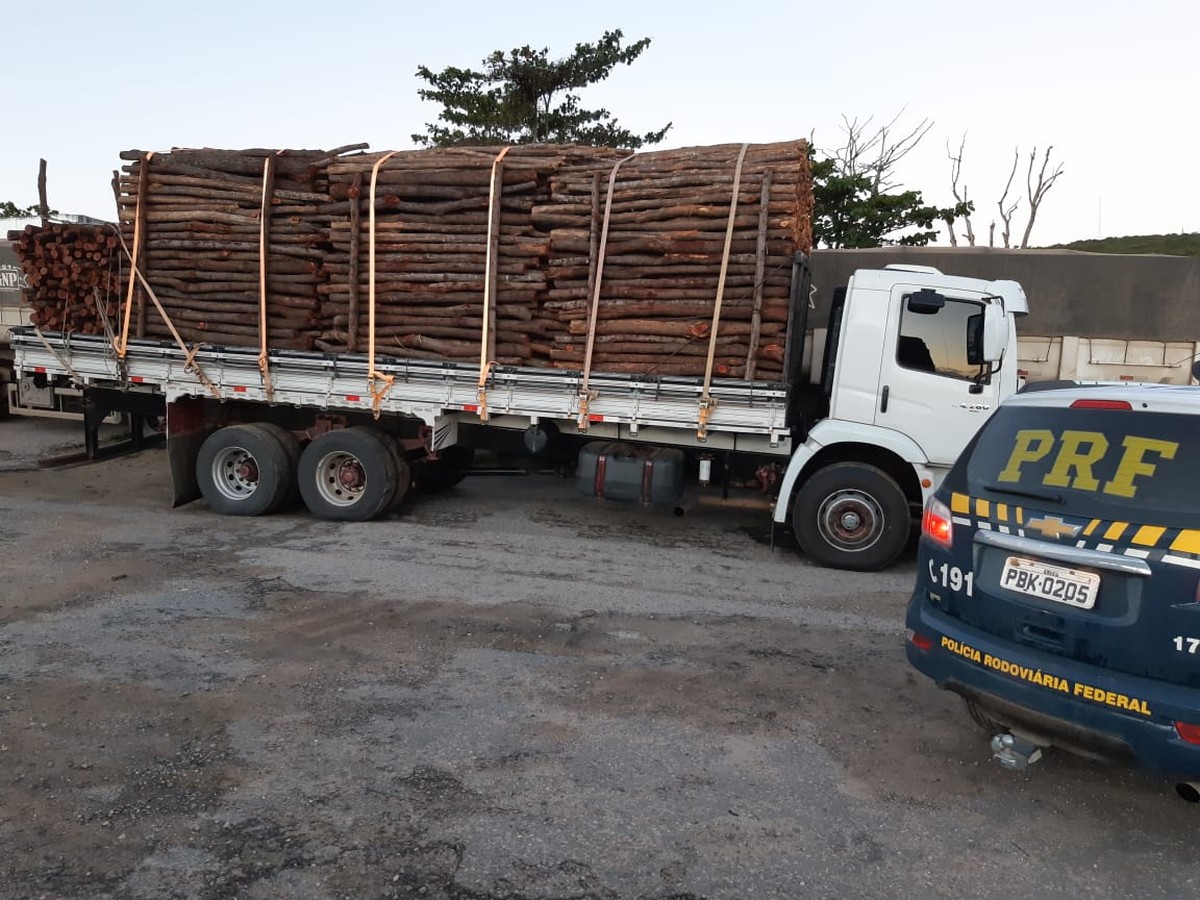 Caminhão carregado com madeira irregular é apreendido na BR-424, em Garanhuns | Caruaru e Região | G1